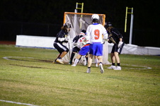 Enlarge photo 215