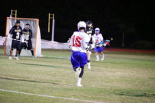 Enlarge photo 274