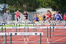 Enlarge photo 112
