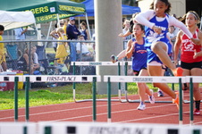 Enlarge photo 135