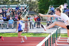 Enlarge photo 133