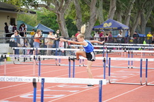 Enlarge photo 175