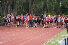Enlarge photo 215