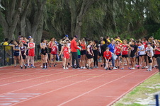 Enlarge photo 217