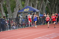 Enlarge photo 218