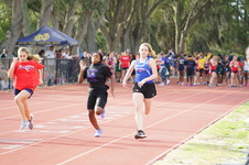 Enlarge photo 244