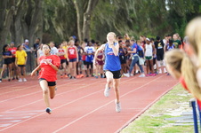 Enlarge photo 254