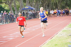 Enlarge photo 258