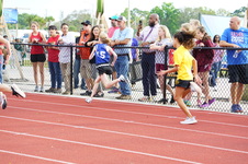 Enlarge photo 273