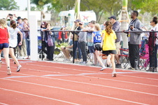 Enlarge photo 277