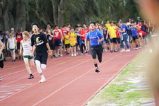 Enlarge photo 276