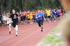Enlarge photo 278