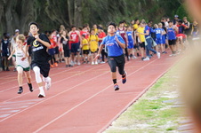 Enlarge photo 279