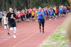 Enlarge photo 282