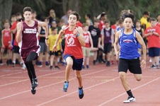 Enlarge photo 290