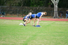 Enlarge photo 330