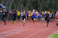 Enlarge photo 345
