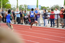 Enlarge photo 376