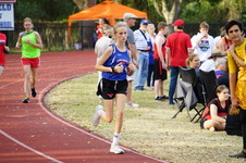Enlarge photo 378