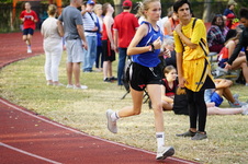 Enlarge photo 381