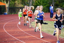 Enlarge photo 389