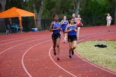 Enlarge photo 434