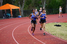 Enlarge photo 437