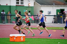 Enlarge photo 270