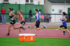 Enlarge photo 271