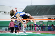 Enlarge photo 423