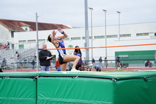 Enlarge photo 428