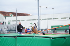 Enlarge photo 433