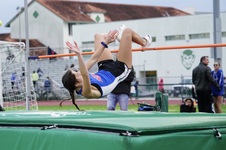 Enlarge photo 497