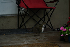 Enlarge photo 140