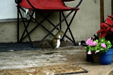 Enlarge photo 144