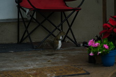 Enlarge photo 146