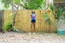 Enlarge photo 179