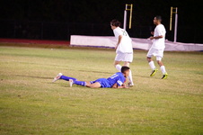Enlarge photo 241