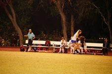 Enlarge photo 291