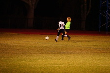 Enlarge photo 146
