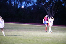 Enlarge photo 83