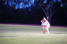 Enlarge photo 85