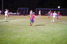 Enlarge photo 531