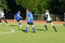 Enlarge photo 45