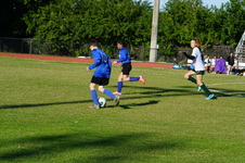 Enlarge photo 48