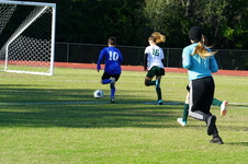 Enlarge photo 54