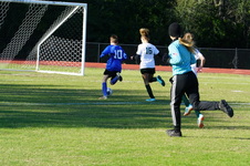 Enlarge photo 55