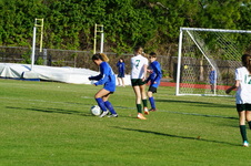 Enlarge photo 74