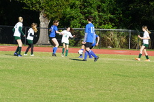 Enlarge photo 95