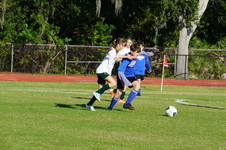 Enlarge photo 104